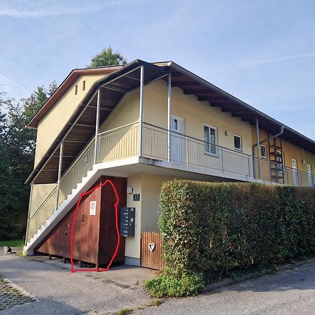Ferienwohnung Erholung Pur Nahe Krankenhaus & Uni Mit Parkplatz! Graz Exterior foto